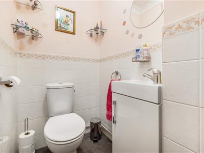 Picture 20